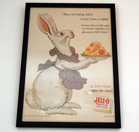 jello_rabbit.jpg