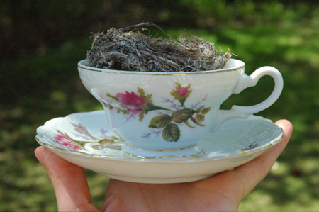 teacup_egg1.jpg