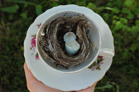 teacup_egg2.jpg