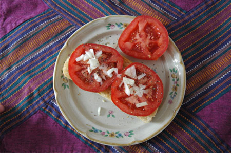 tomato_sammy.jpg