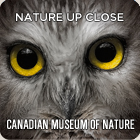 Visit the Extraordinary Arctic at the Canadian Museum of Nature