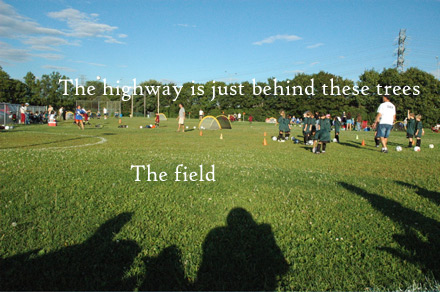 the field